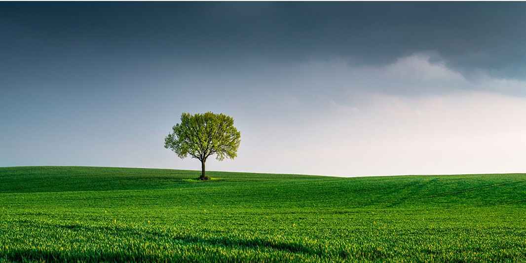 環境にやさしい選択